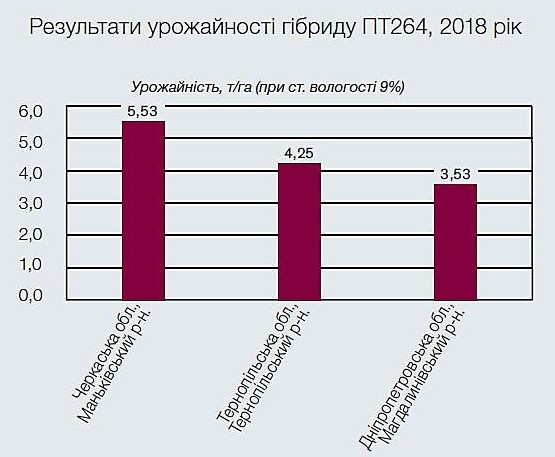 Насіння озимого ріпаку ПТ 264 Врожайність