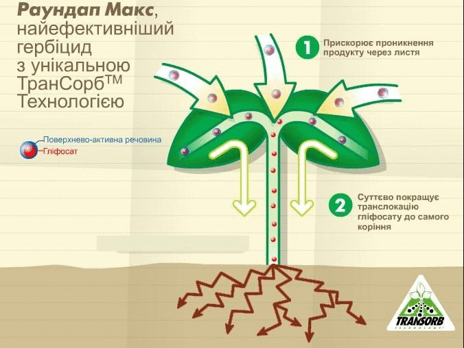 Раундап макс цена