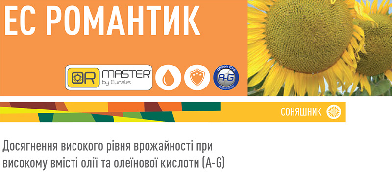 Соняшник Романтик