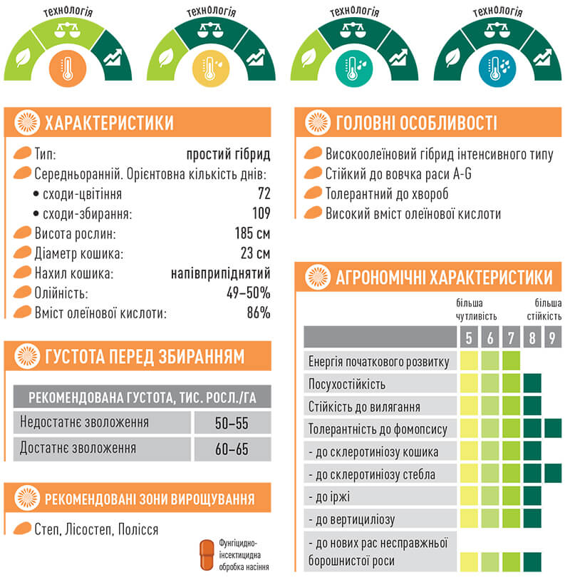 Соняшник Романтик характеристики