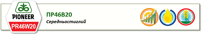 Насіння ріпаку ПР46В20 (PR46W20) середньостиглий