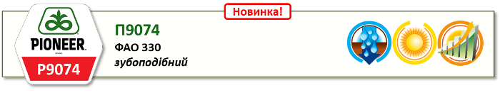 Насіння Кукурудзи П9074 (P9074)