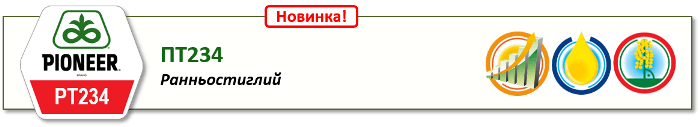 Насіння Озимого Ріпаку Піонер ПТ234 (PT234) - Ціна, Характеристика, Інструкції та Рекомендації