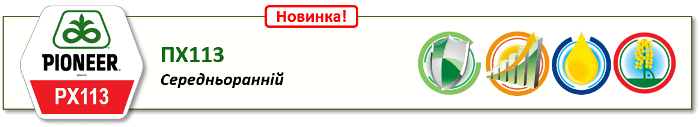 Насіння Озимого Ріпаку Піонер ПХ113 (PX113) Середньоранній