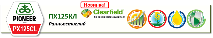 Насіння Озимого Ріпаку Піонер PX125CL (ПХ125КЛ)