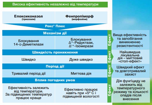 Рекс Плюс